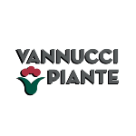 10.Vannucci-1-150x150