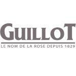 4.GUILLOT-1-150x150