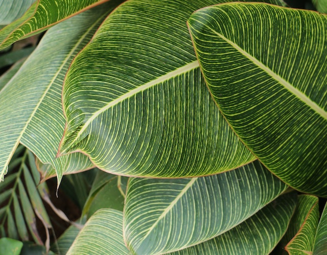 pexels-vasanth-babu-797793