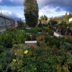 ΦΥΤΩΡΙΟ-3-400x400