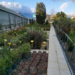 ΦΥΤΩΡΙΟ-4-400x400